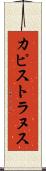 カピストラヌス Scroll