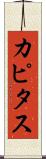 カピタス Scroll