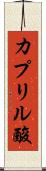 カプリル酸 Scroll