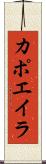 カポエイラ Scroll