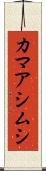 カマアシムシ Scroll