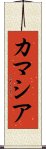 カマシア Scroll