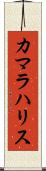 カマラハリス Scroll