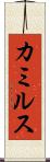 カミルス Scroll