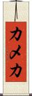 カメカ Scroll