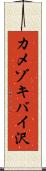 カメゾキバイ沢 Scroll