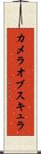 カメラオブスキュラ Scroll