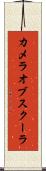 カメラオブスクーラ Scroll