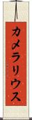 カメラリウス Scroll