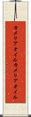 カメリアオイル Scroll