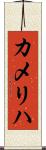 カメリハ Scroll