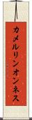 カメルリンオンネス Scroll