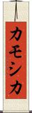 カモシカ Scroll