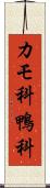 カモ科 Scroll