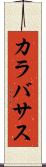 カラバサス Scroll