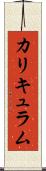カリキュラム Scroll