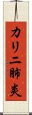 カリニ肺炎 Scroll