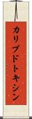 カリブドトキシン Scroll