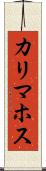 カリマホス Scroll