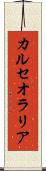 カルセオラリア Scroll