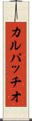 カルパッチオ Scroll