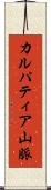 カルパティア山脈 Scroll