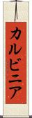 カルビニア Scroll