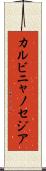カルビニャノセジア Scroll