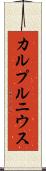 カルプルニウス Scroll