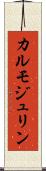 カルモジュリン Scroll