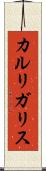 カルリガリス Scroll