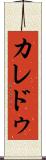 カレドゥ Scroll