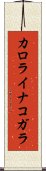カロライナコガラ Scroll