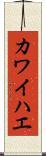 カワイハエ Scroll