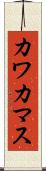 カワカマス Scroll