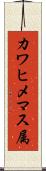 カワヒメマス属 Scroll
