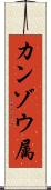 カンゾウ属 Scroll