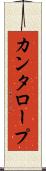 カンタロープ Scroll