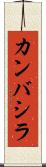 カンバシラ Scroll