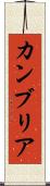 カンブリア Scroll