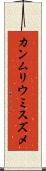 カンムリウミスズメ Scroll