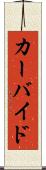 カーバイド Scroll