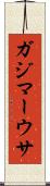 ガジマーウサ Scroll