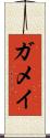 ガメイ Scroll