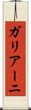ガリアーニ Scroll