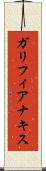 ガリフィアナキス Scroll