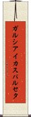 ガルシアイカスバルセタ Scroll