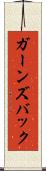ガーンズバック Scroll
