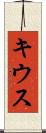キウス Scroll