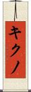 キクノ Scroll